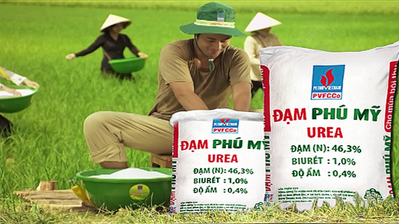 dam-phu-my-1-1773141548.png