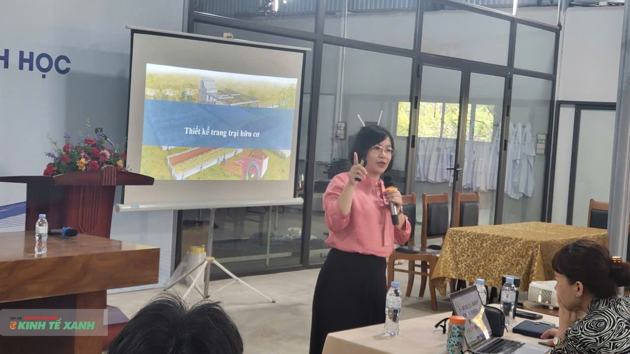 “Không chỉ trồng sạch mà còn bán tốt”: VFARM tập huấn sản xuất hữu cơ và marketing nông sản