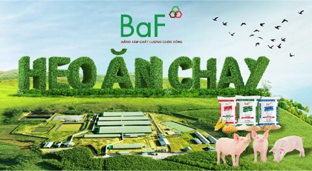 Năm 2026, BAF đặt mục tiêu lợi nhuận gấp 6 lần so với năm 2025. 