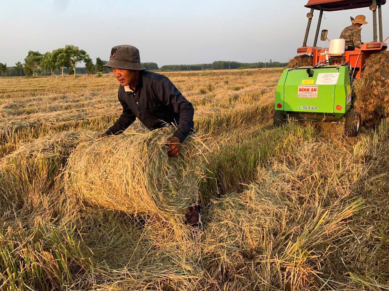 Thị trường máy cuộn rơm tại Việt Nam: Động lực mới cho kinh tế tuần hoàn sau mỗi mùa gặt