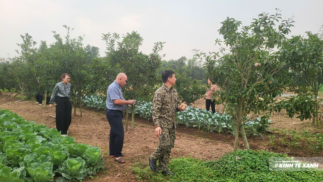 Tổng Giám đốc Sungwon DX: Việt Nam có thể trở thành Trung tâm công nghệ vi sinh nông nghiệp của châu Á