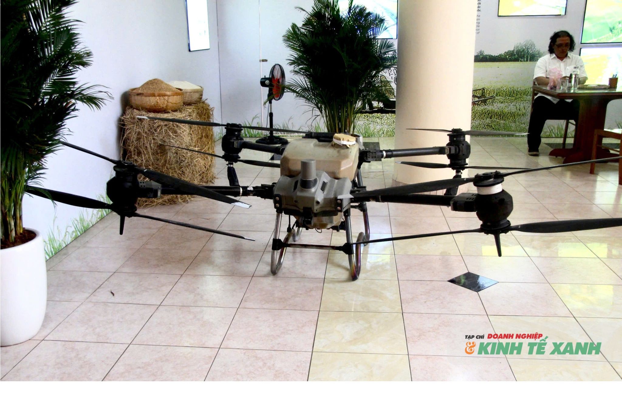 tCà Mau: Kết nối khoa học – nâng tầm hạt gạo qua Cuộc thi “Gạo ngon ĐBSCL 2026”