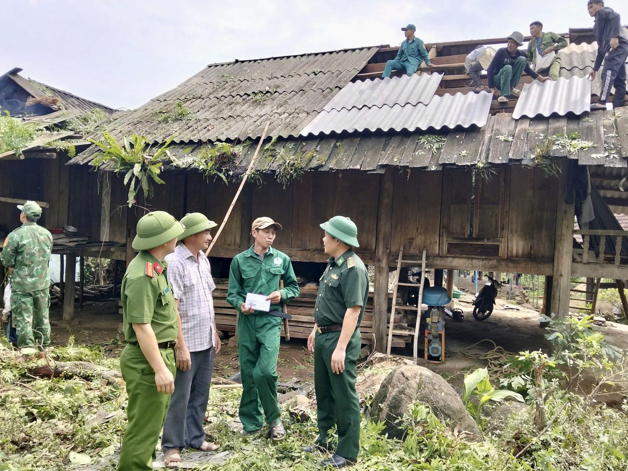 giong-loc-nghe-an3-1777456586.jpg