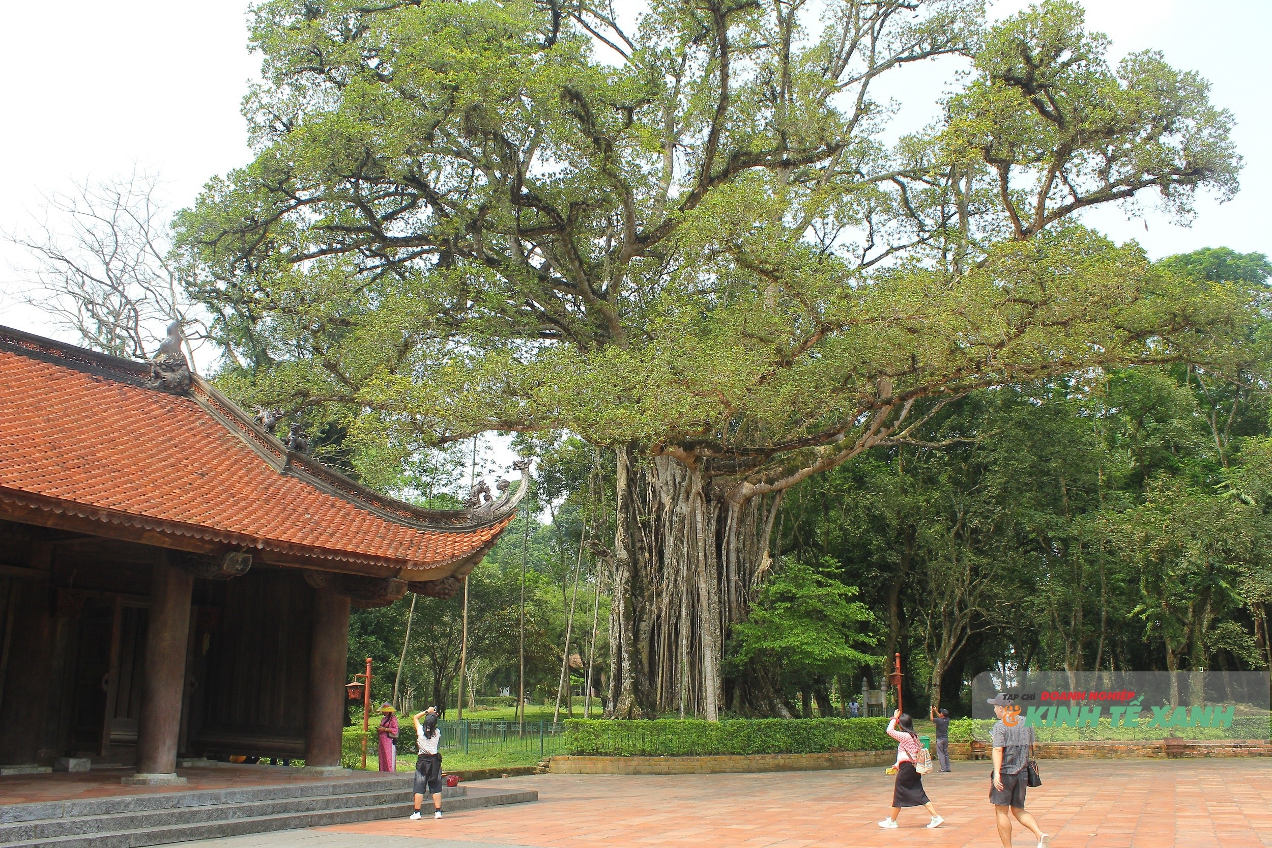 nghi-le-4-1777813986.JPG