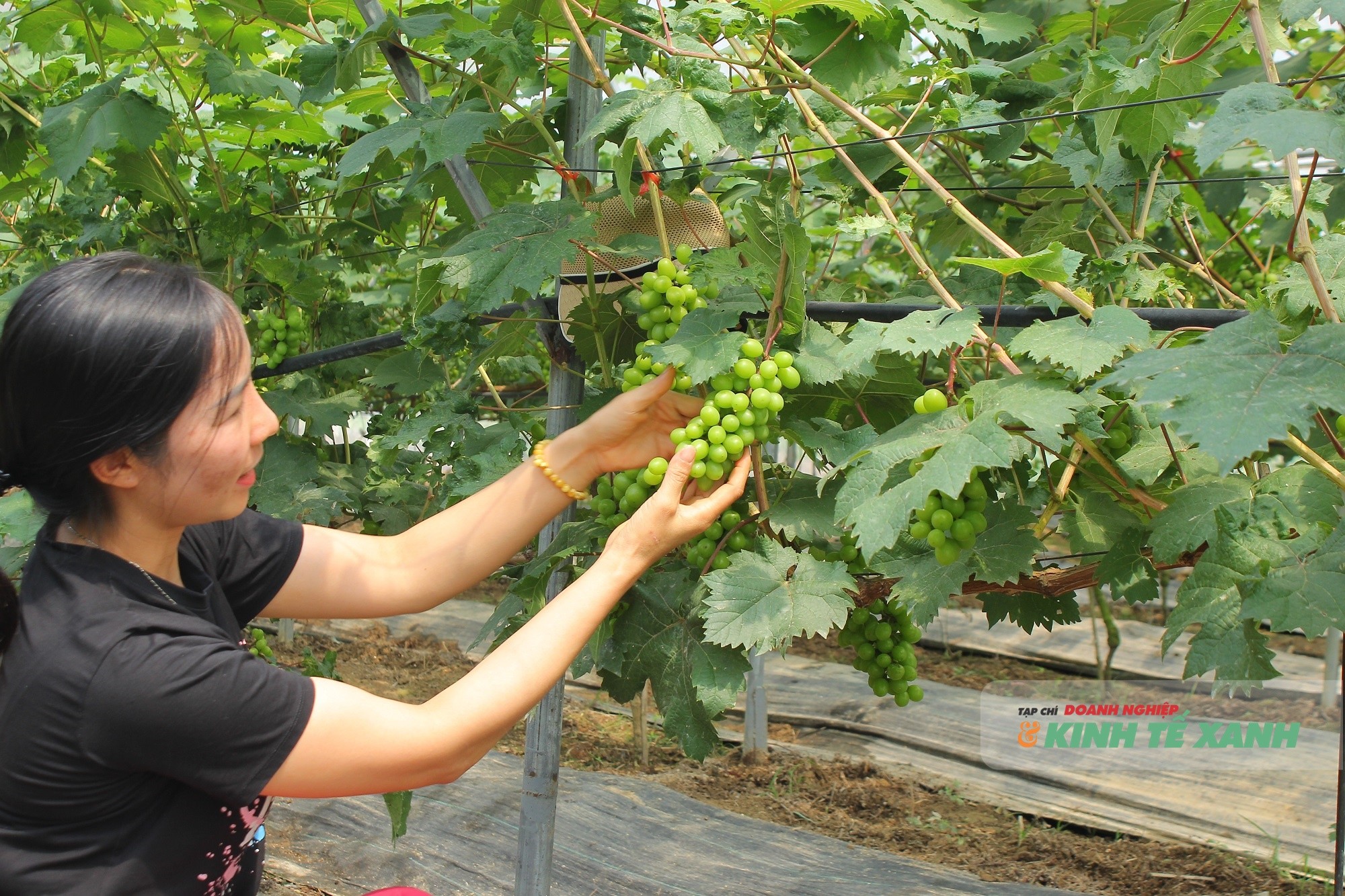 trang-famr-1-1777989142.JPG
