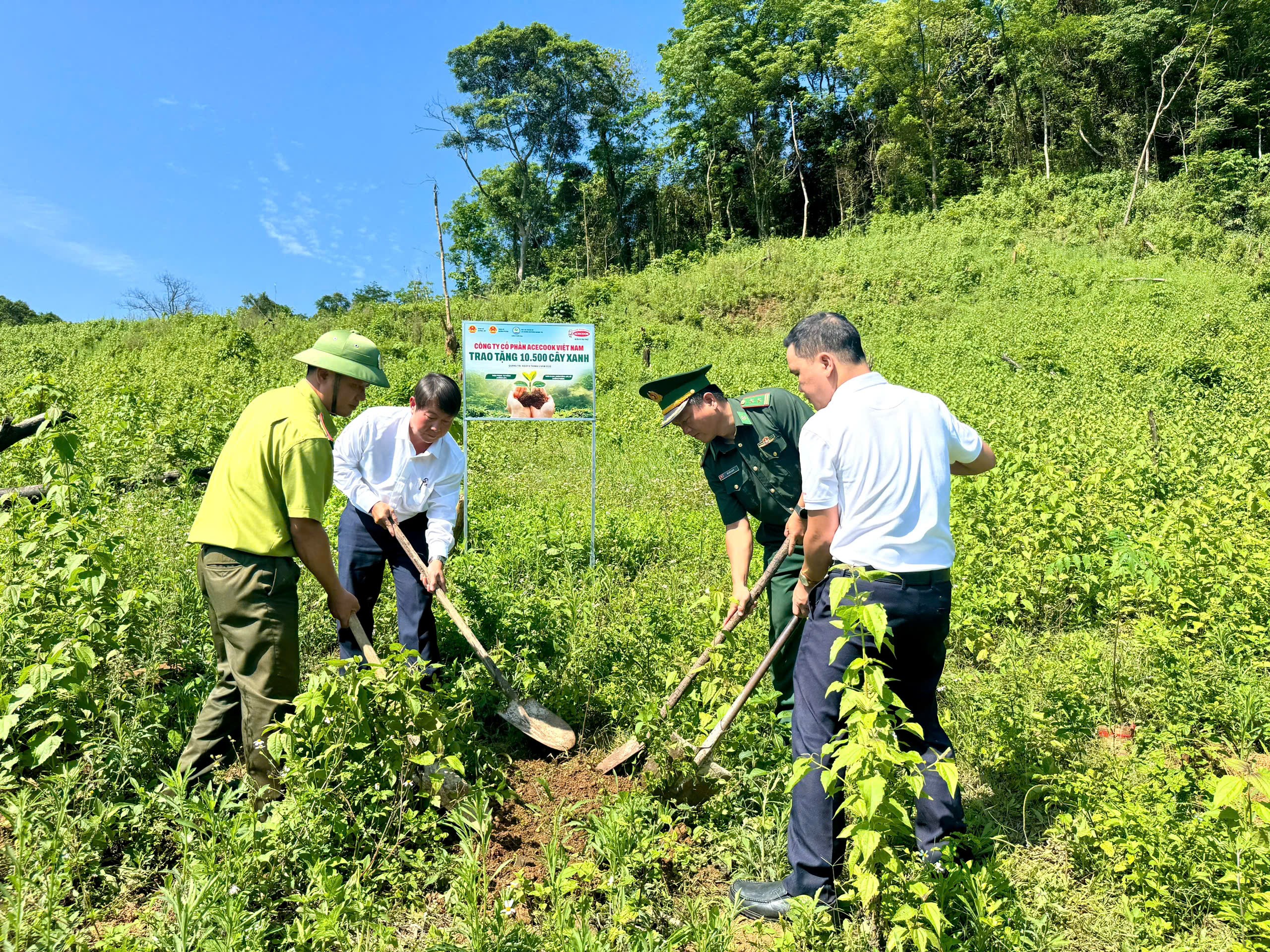 khu-vuc-trong-cay-tai-rung-tu-nhien-thuoc-tinh-thon-trang-ta-puong-huyen-huong-lap-tinh-quang-tri-1-1778219131.jpg