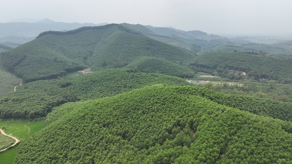 lam-san-nghe-an-1778238208.jpg