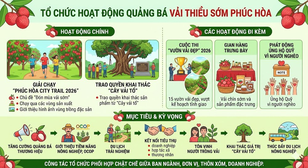 cac-hoat-dong-mua-vai-som-phuc-hoa-1778594129.jpg