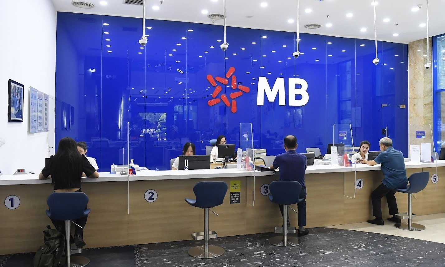mb-1779098895.jpg