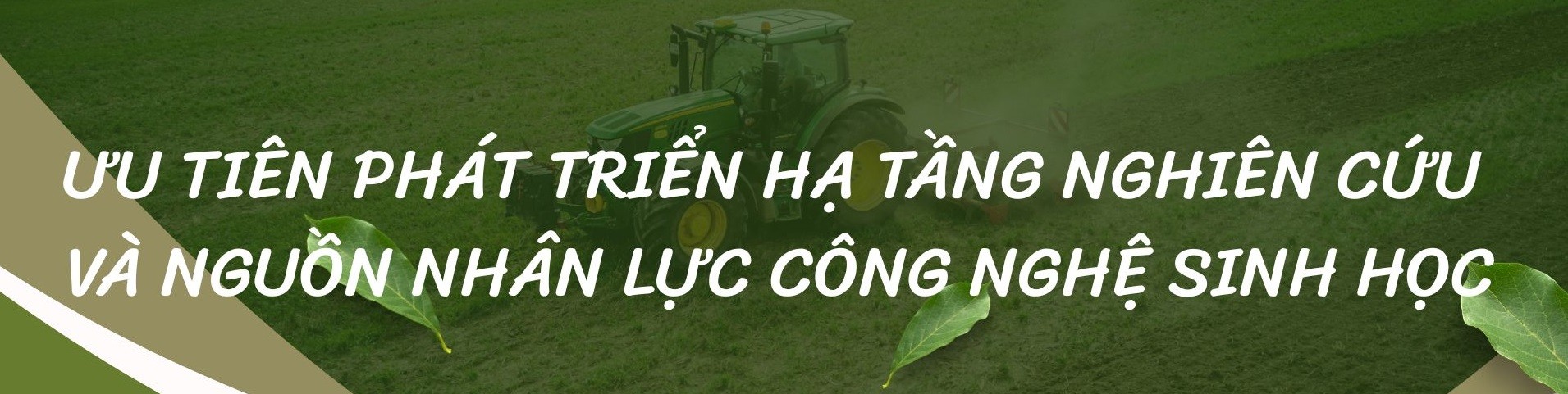 uu-tien-phat-trien-ha-tang-nghien-cuu-va-1779521748.jpg