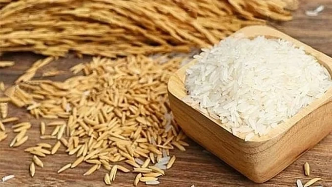 Giá lúa gạo hôm nay 25/5/2026: Thị trường ổn định, gạo xuất khẩu duy trì mức cao
