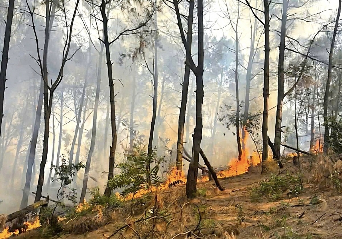 img-2197-1779704817.jpg