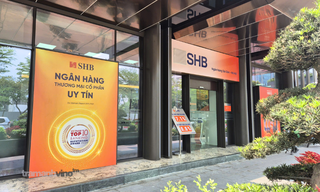 shb-cover-1779683133.png
