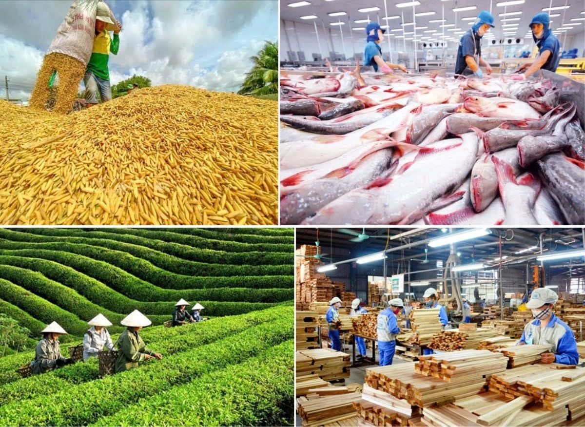 Sau 5 tháng đầu năm 2026, ngành nông nghiệp và môi trường tiếp tục duy trì đà tăng trưởng tích cực với kim ngạch xuất khẩu nông, lâm, thủy sản đạt 30,69 tỷ USD, xuất siêu 8,41 tỷ USD.