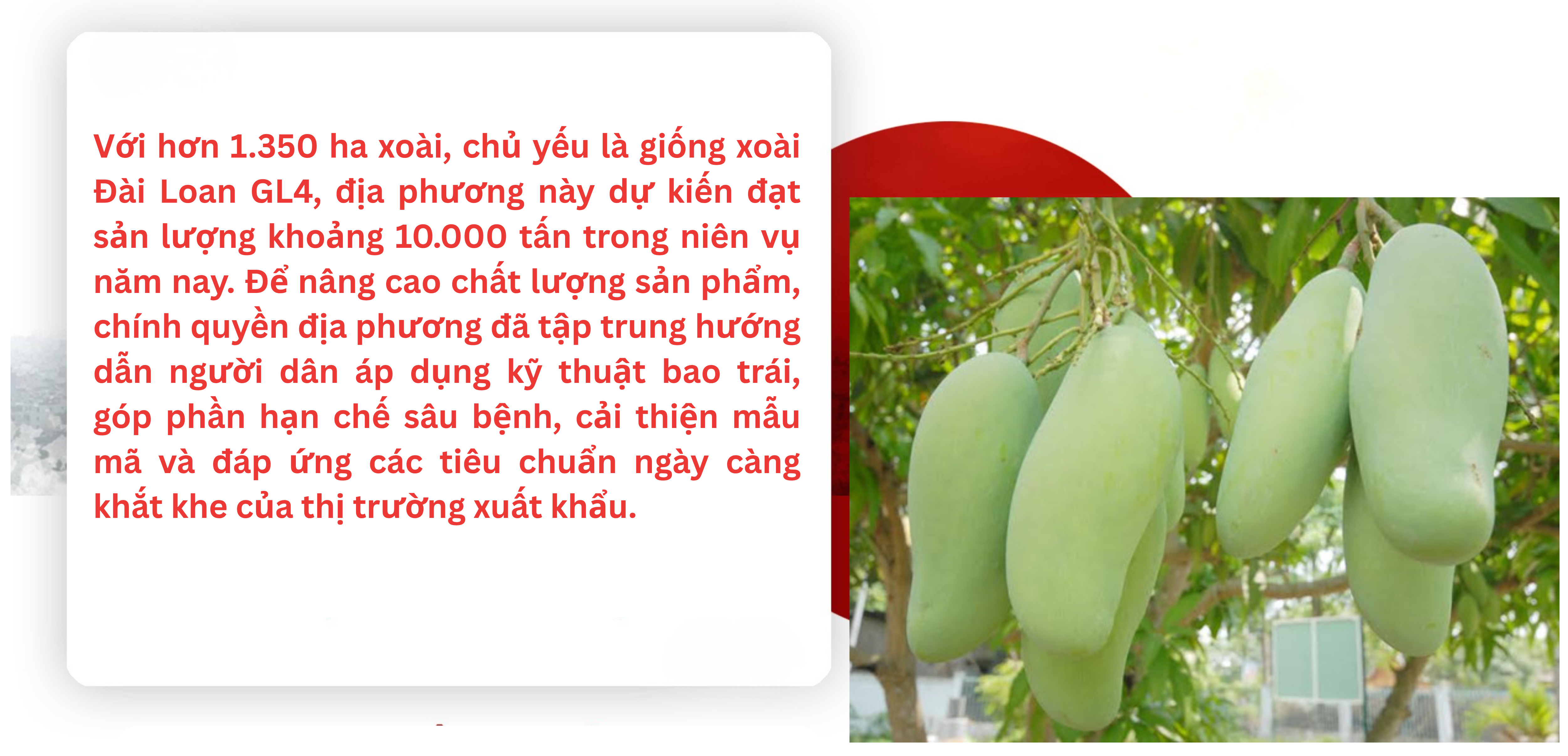 longform-4-1780830096.png