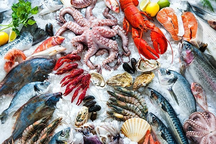 Xuất khẩu thủy sản đạt gần 4,7 tỷ USD, tăng hơn 10,6% trong 5 tháng đầu năm 2026
