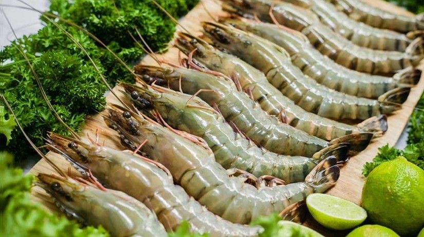 Hiện, năng lực xuất khẩu tôm của Việt Nam đã tăng gấp 4-5 lần so với thời điểm hiệp định được áp dụng từ năm 2015. 