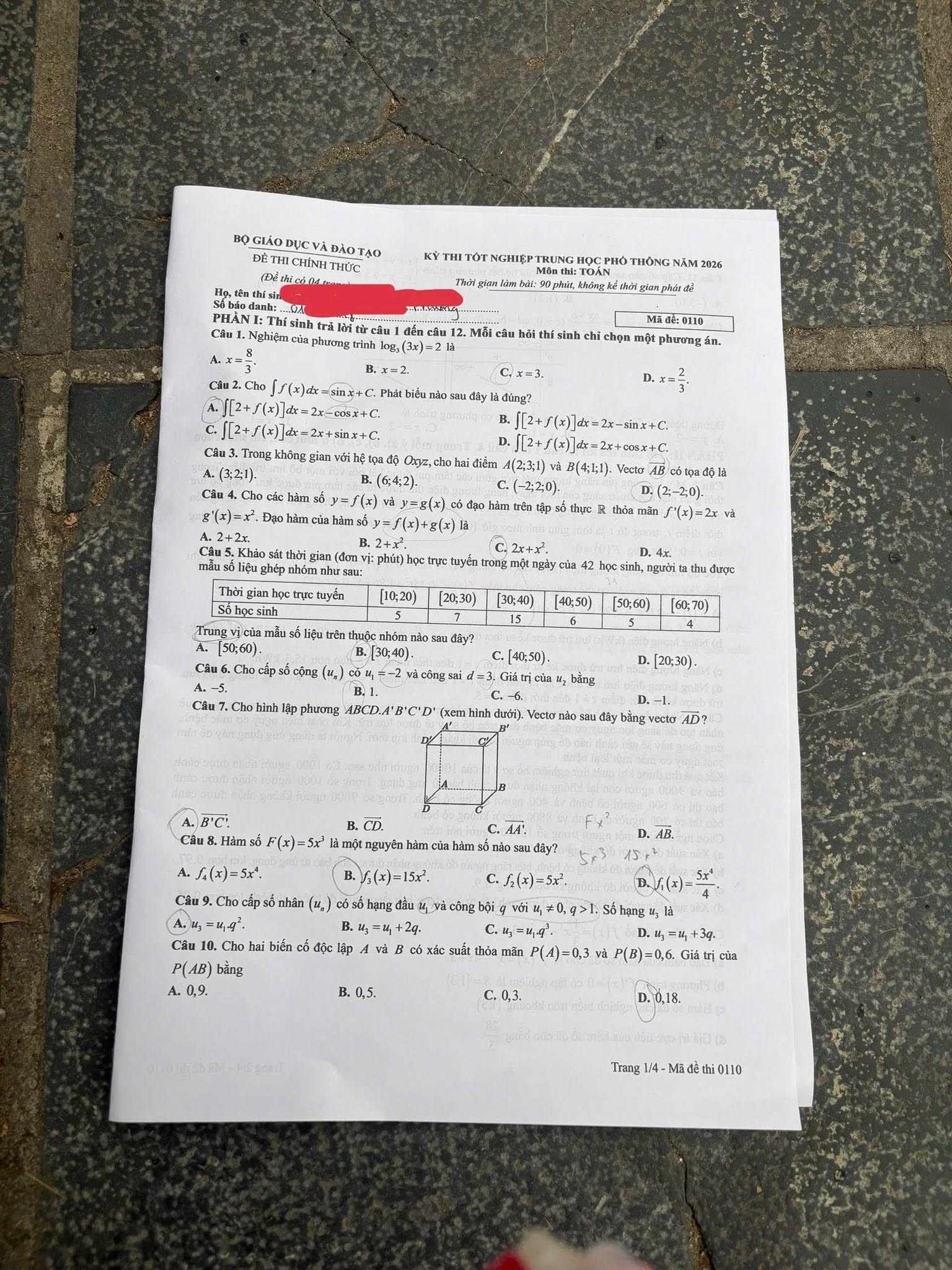 110-1-1781172609.jpg