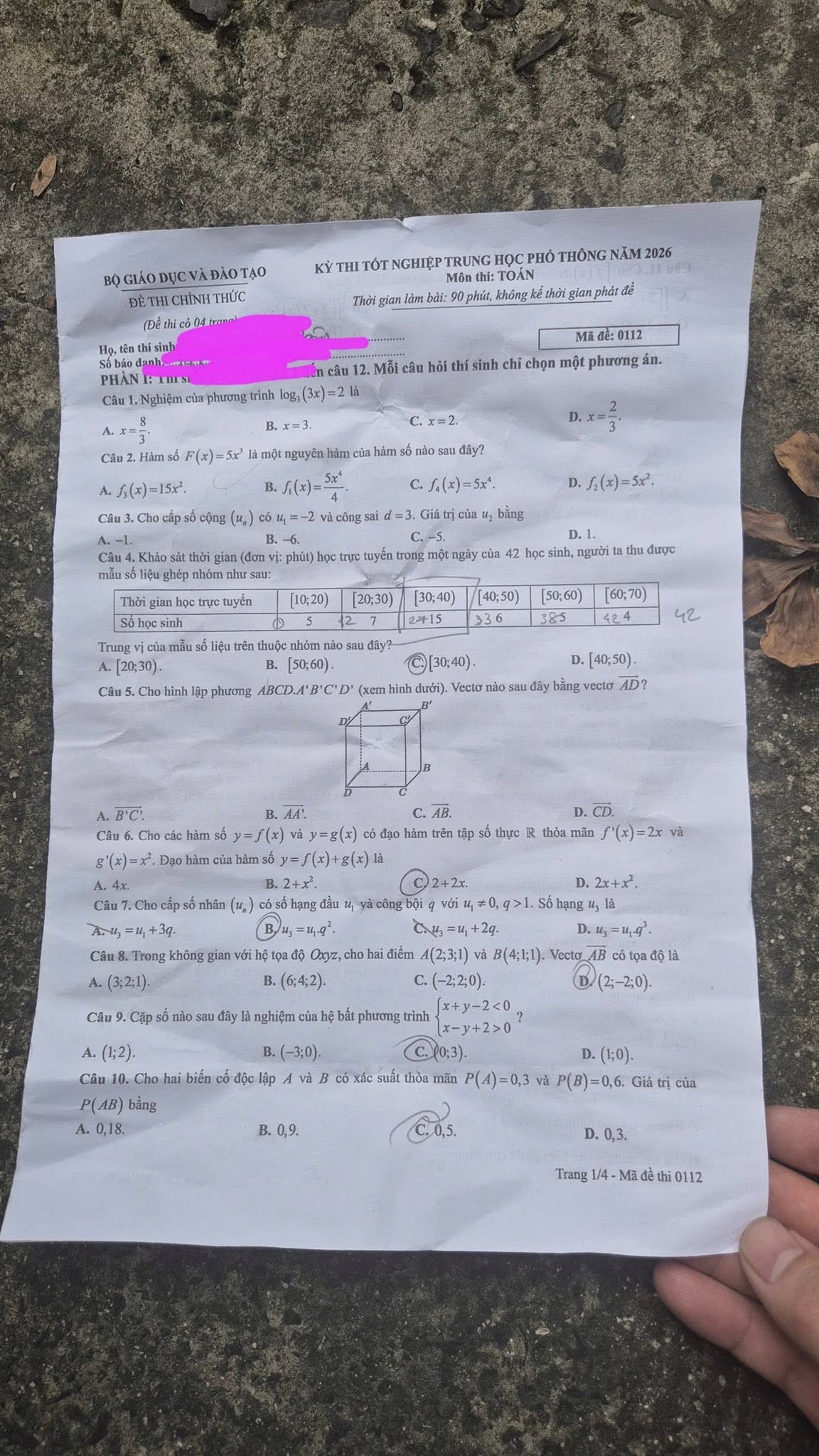 112-1-1781172851.jpg