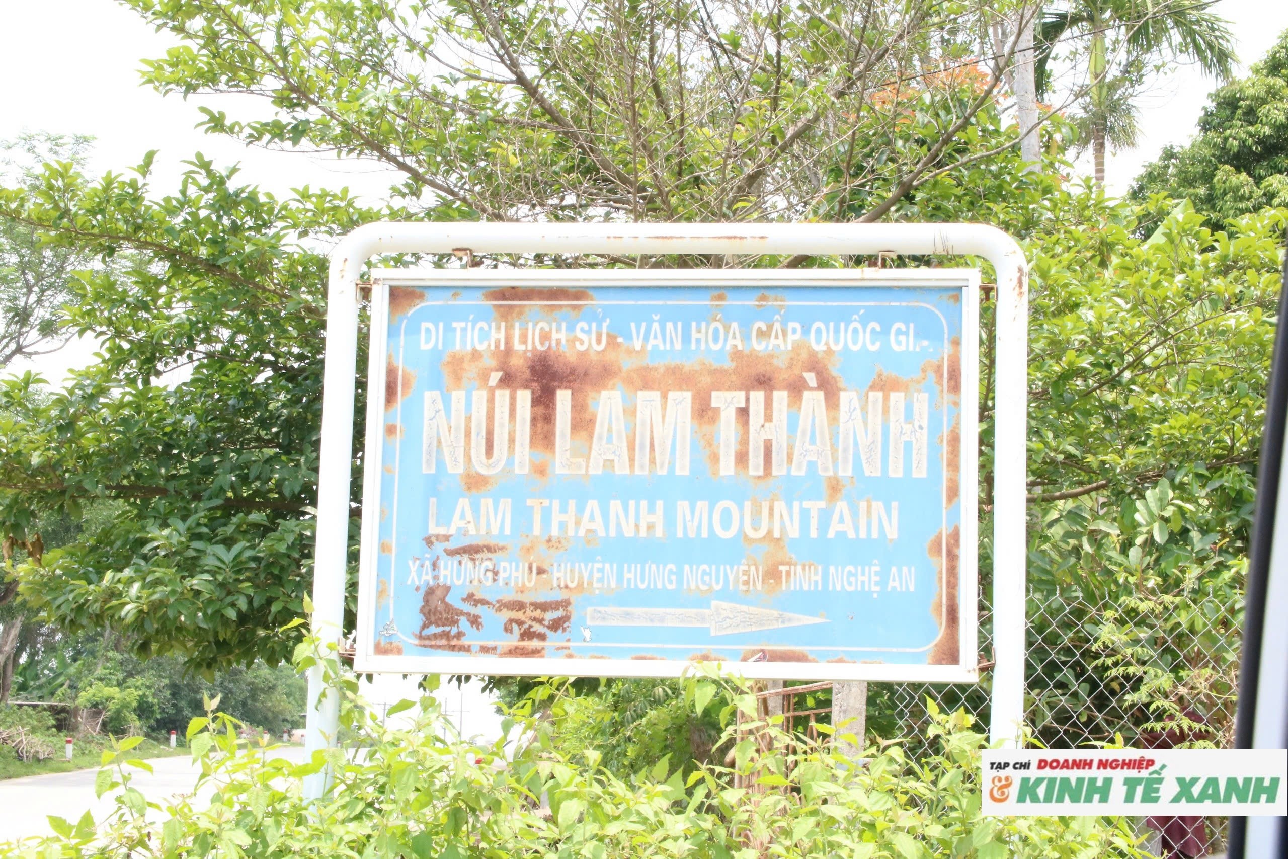 thanh-rum1-1781194472.jpg