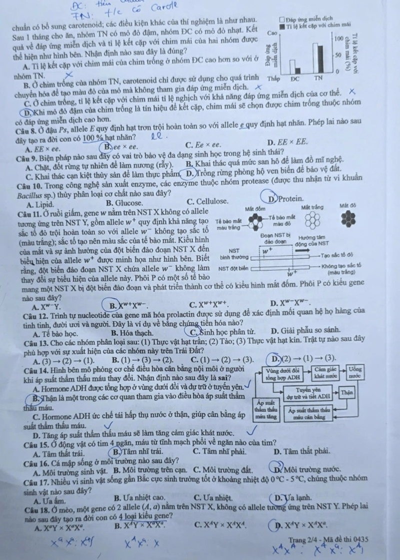 de-sinh-2-1781233978.jpg