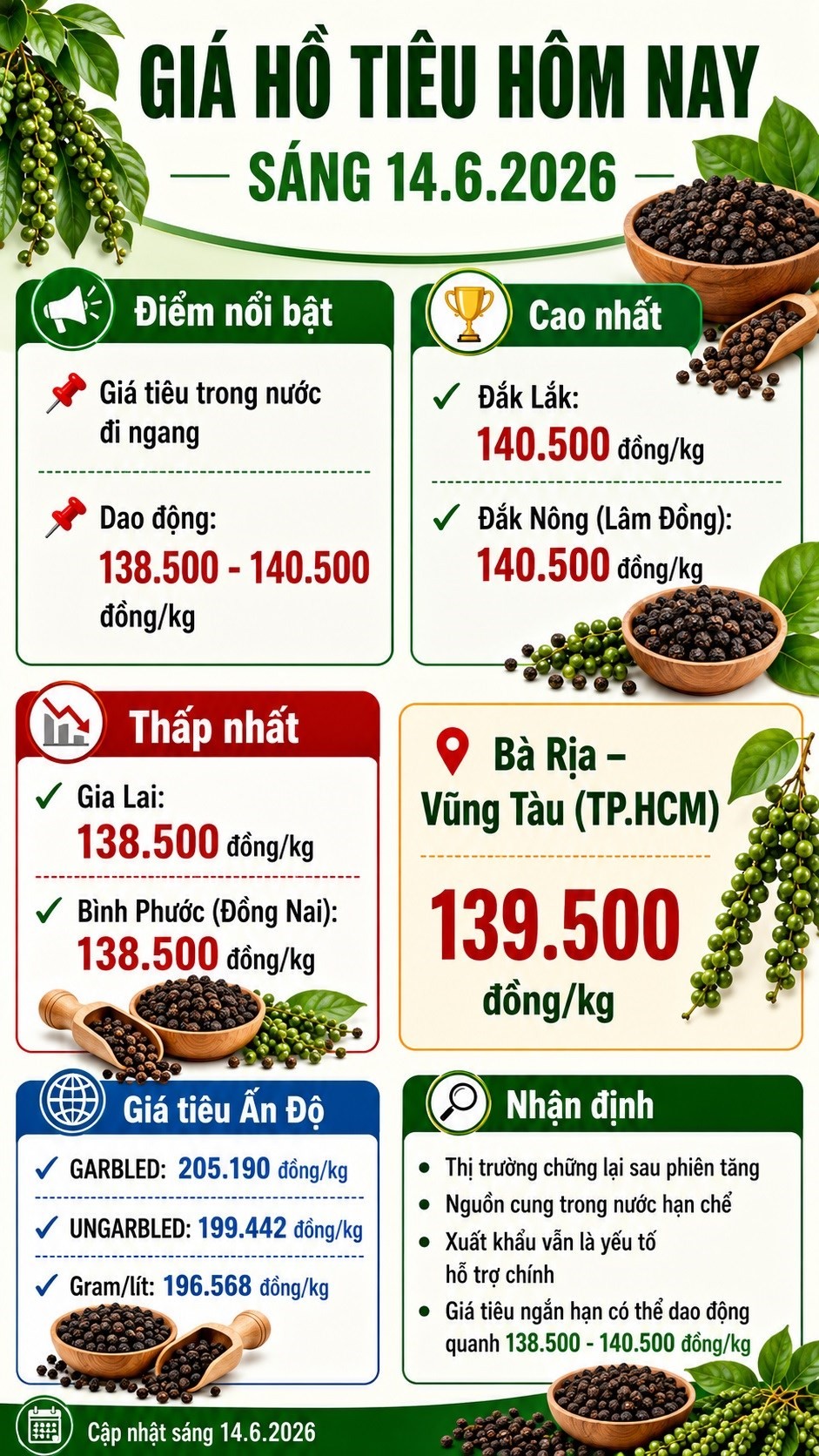 gia-ho-tieu-hom-nay-14-6-2026-xtzu-1781405526.jpg
