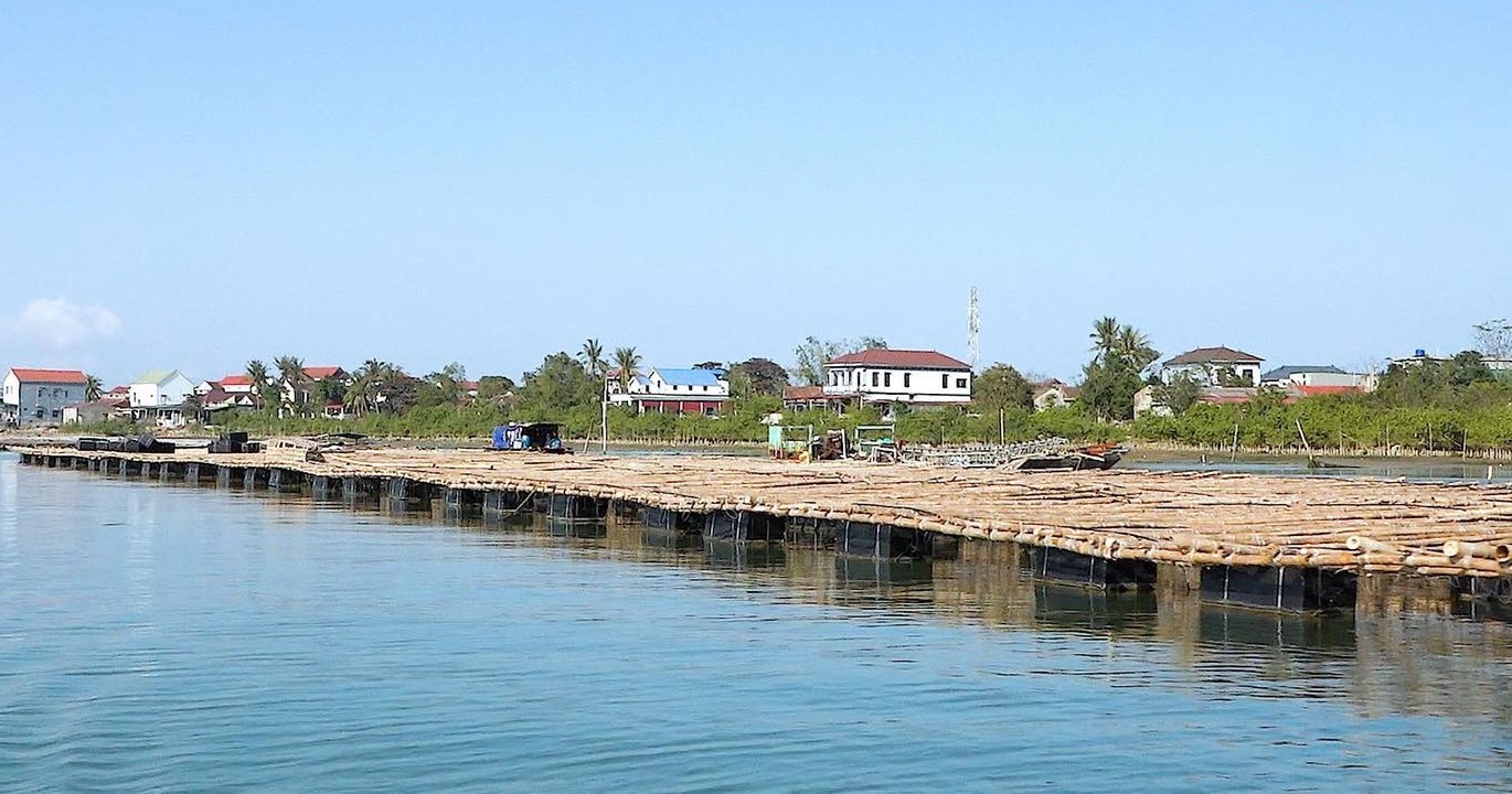 nuoi-hau-treo-2-1781435706.jpg