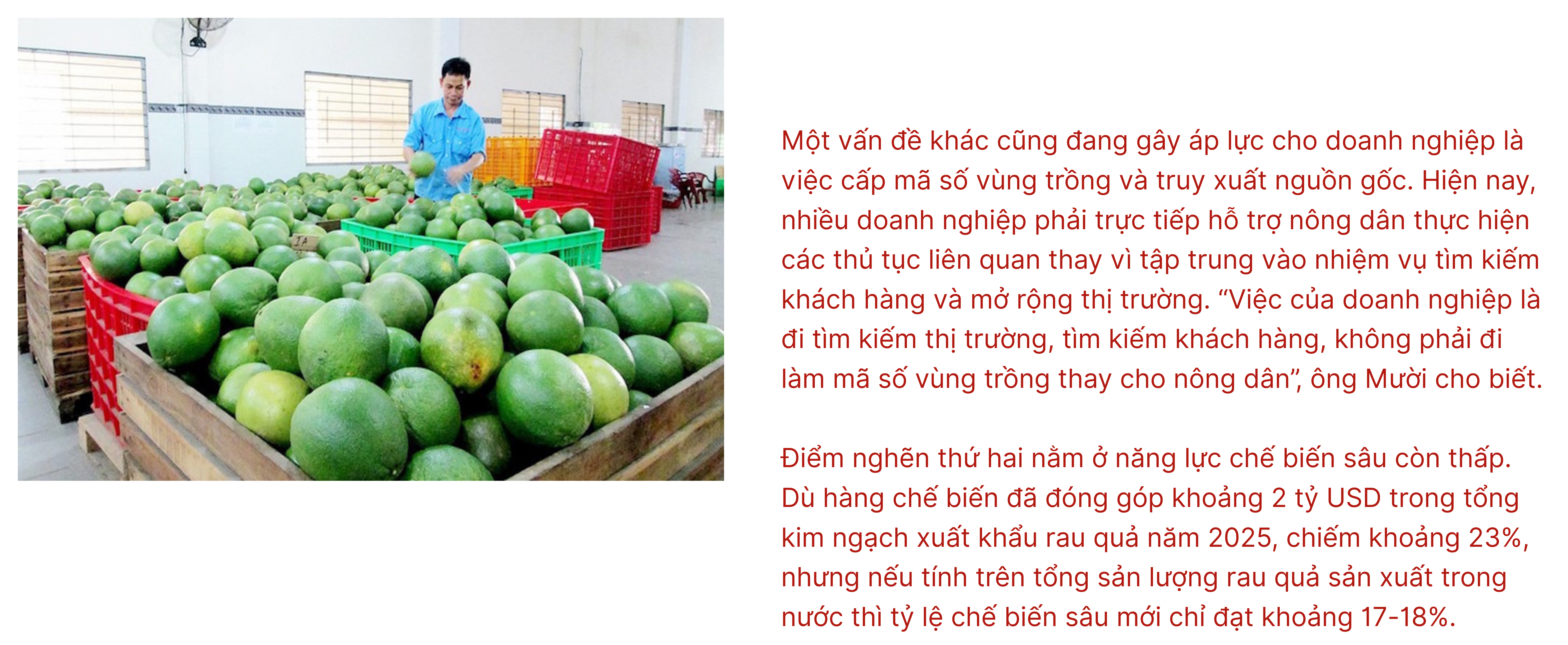 longform-4-1781602458.png