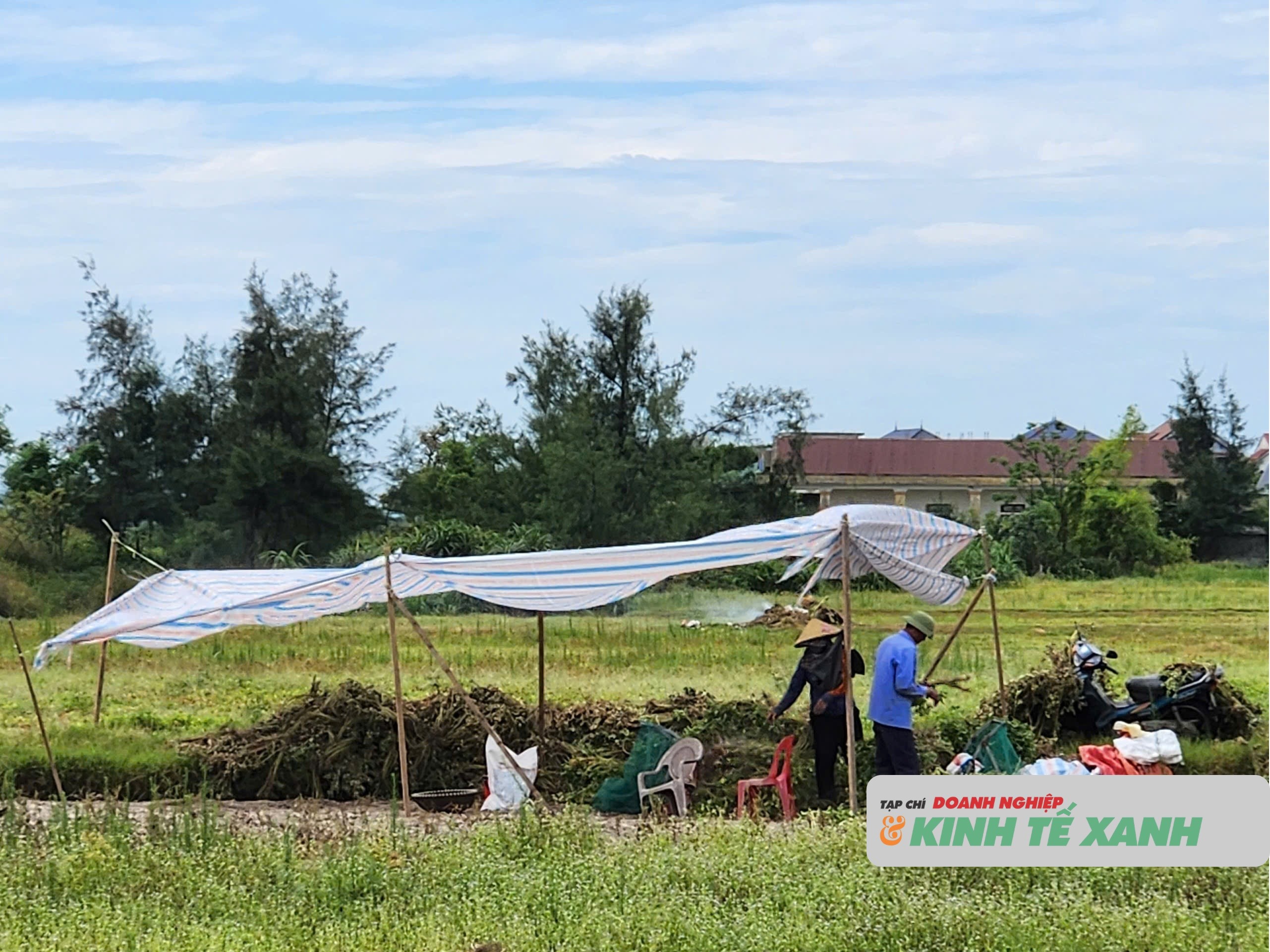 nang-1-1781787350.jpg