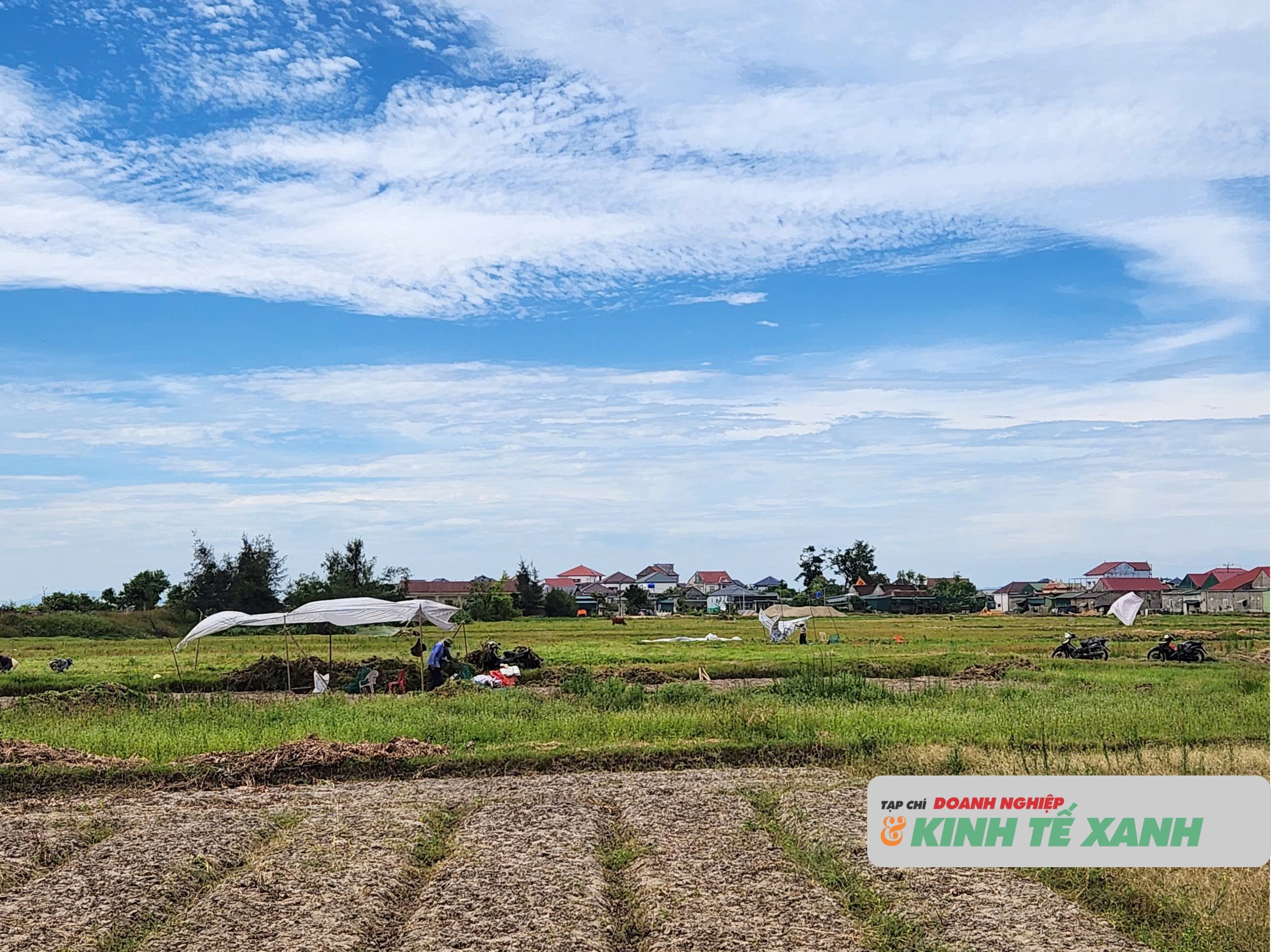 nang-2-1781786998.jpg