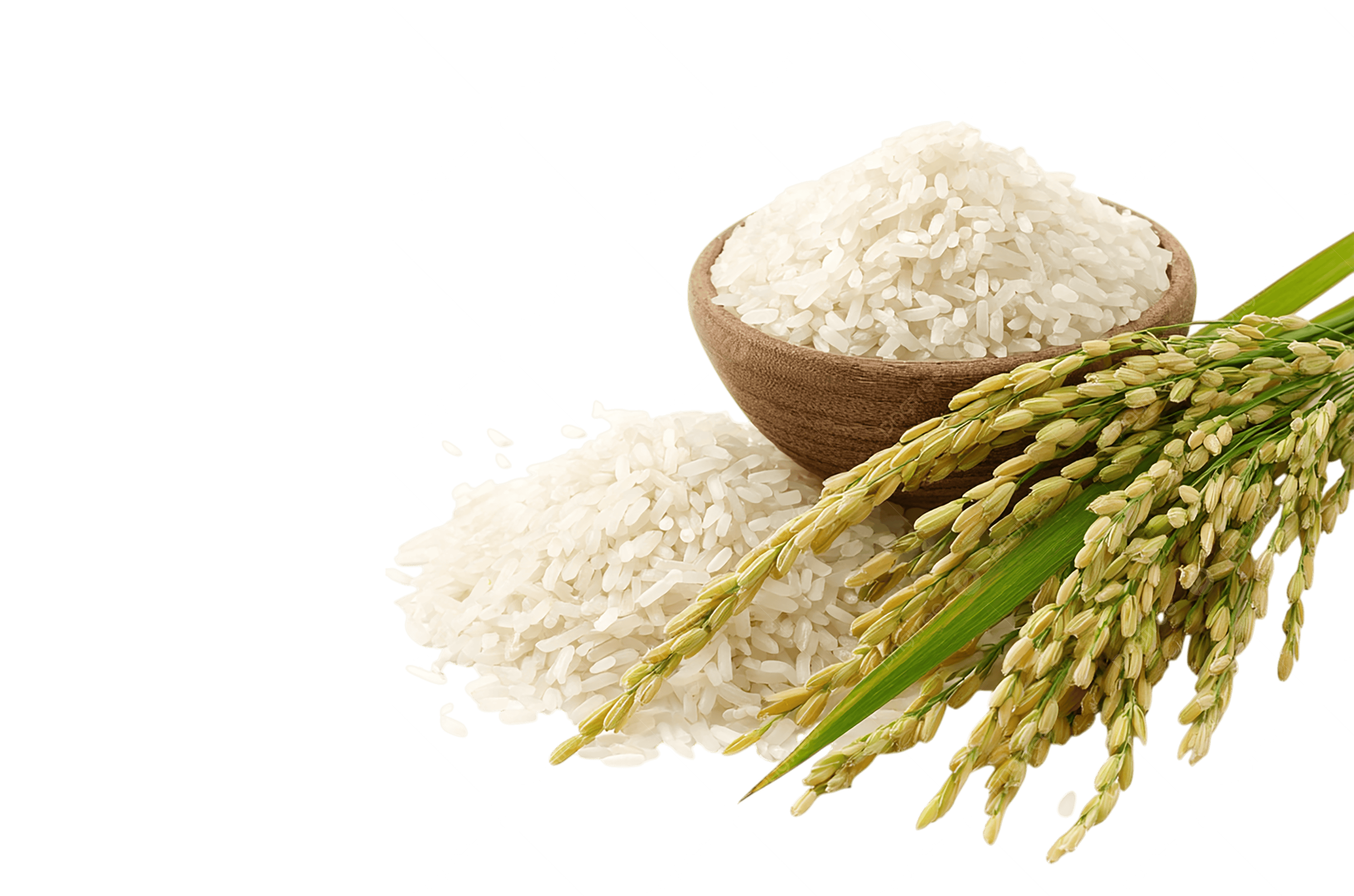 gia-lua-gao-hom-nay-20-6-2-1781921425.png