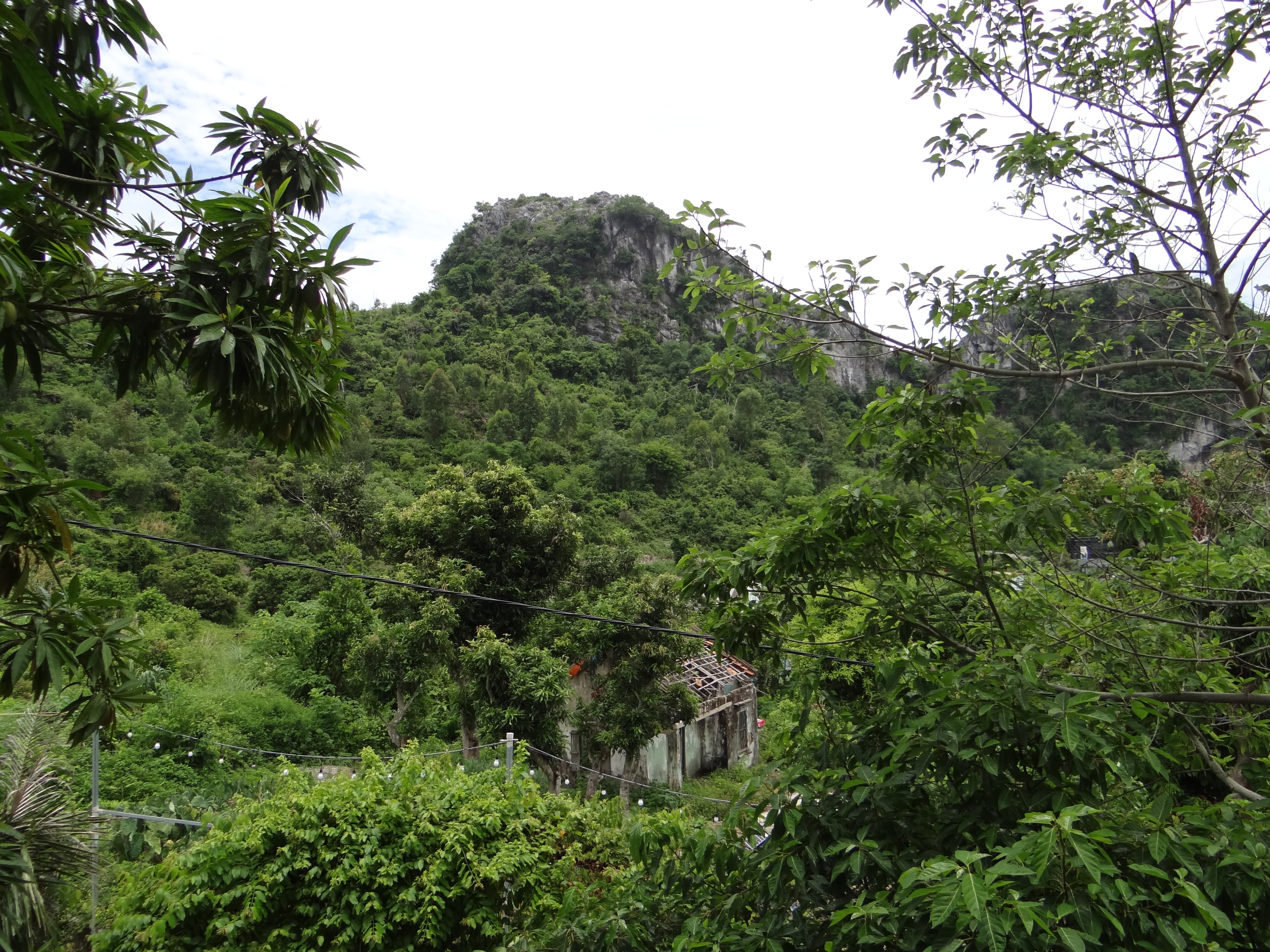dsc02251-1782433811.JPG