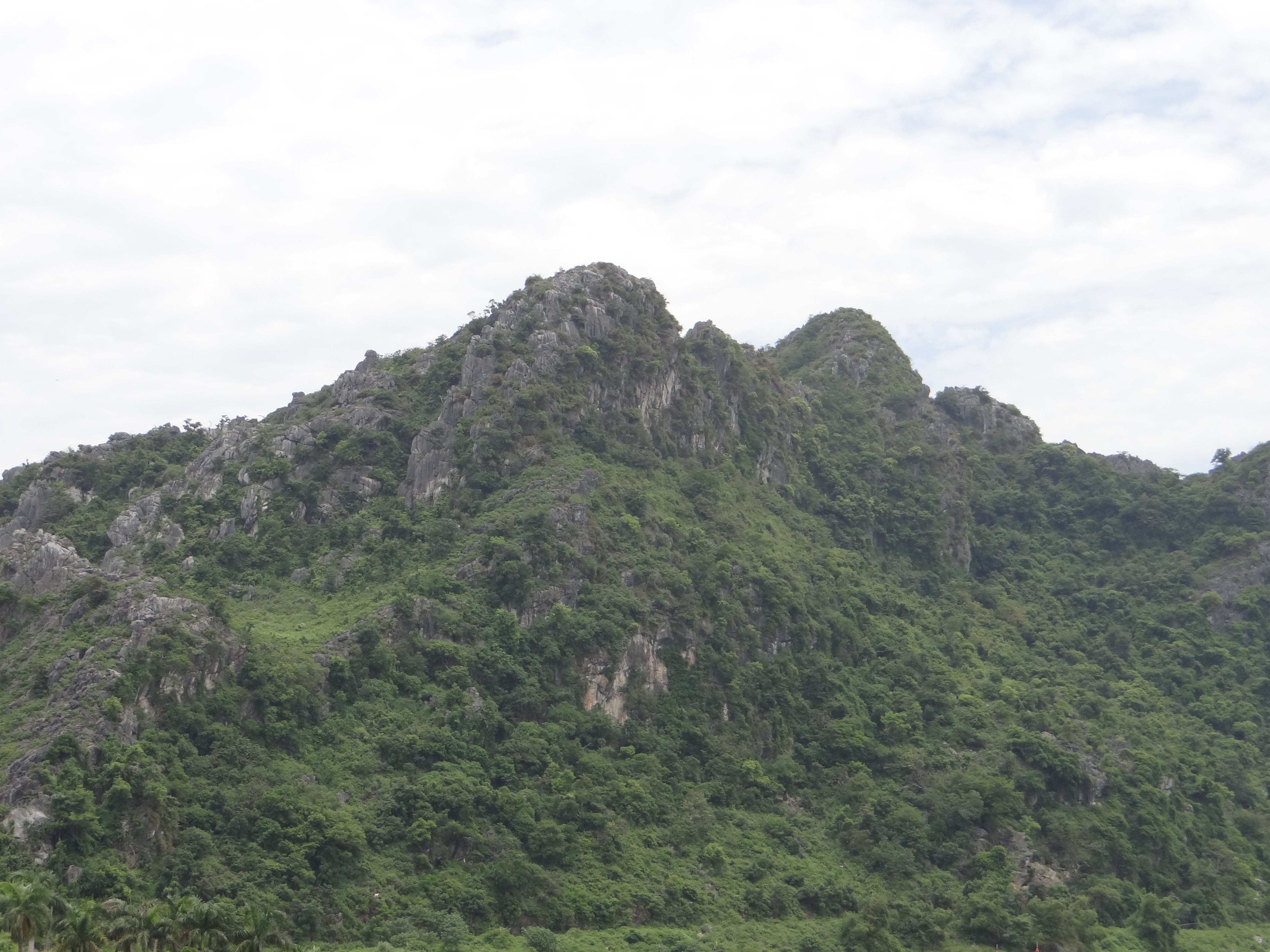 dsc02252-1782693223.JPG