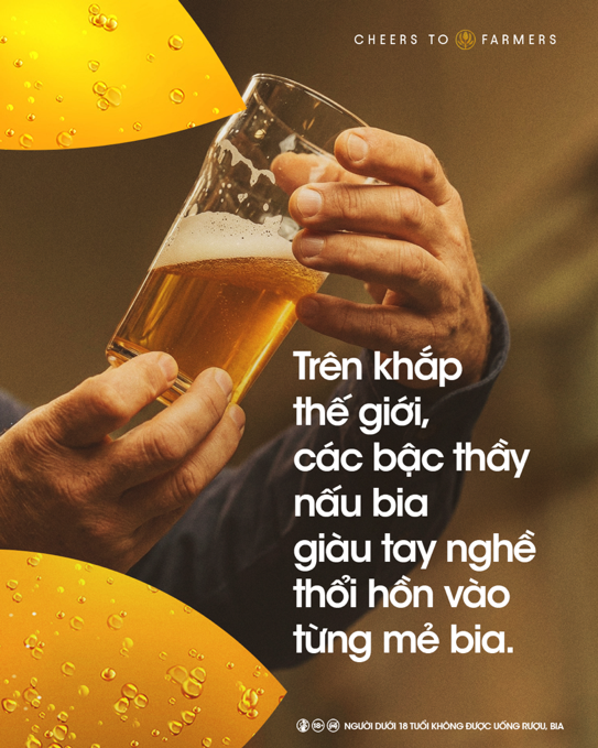 Từ hạt gạo An Giang đến ly bia thượng hạng: AB InBev kiến tạo giá trị từ nguyên liệu Việt - Ảnh 1