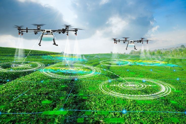 Khoa học, công nghệ và đổi mới sáng tạo được xác định là động lực quan trọng thúc đẩy ngành nông nghiệp và môi trường chuyển đổi theo hướng xanh, phát thải thấp và kinh tế tuần hoàn. (Ảnh minh hoạ)