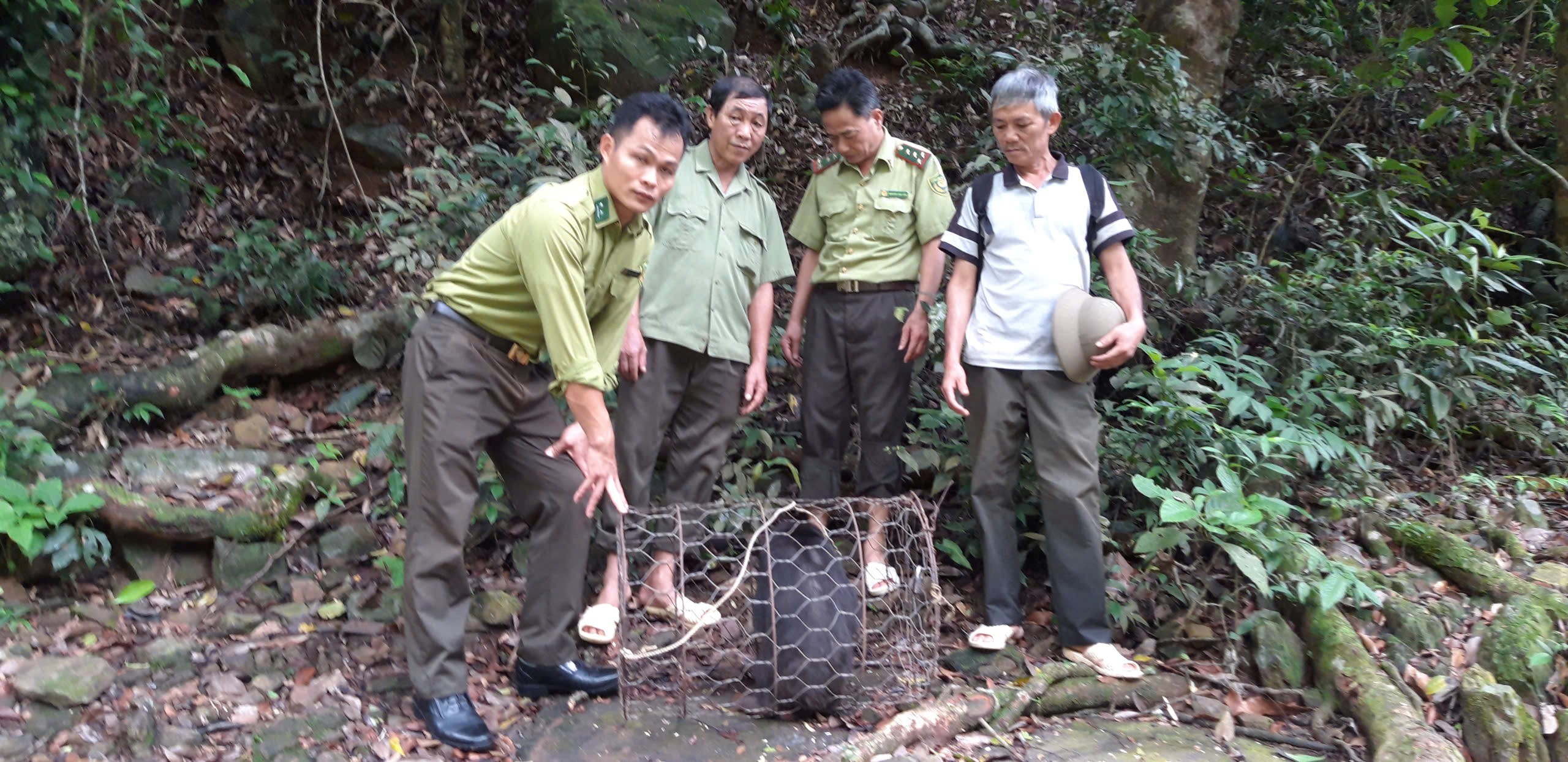 kiem-lam-bac-ninh-10-1783680860.jpg