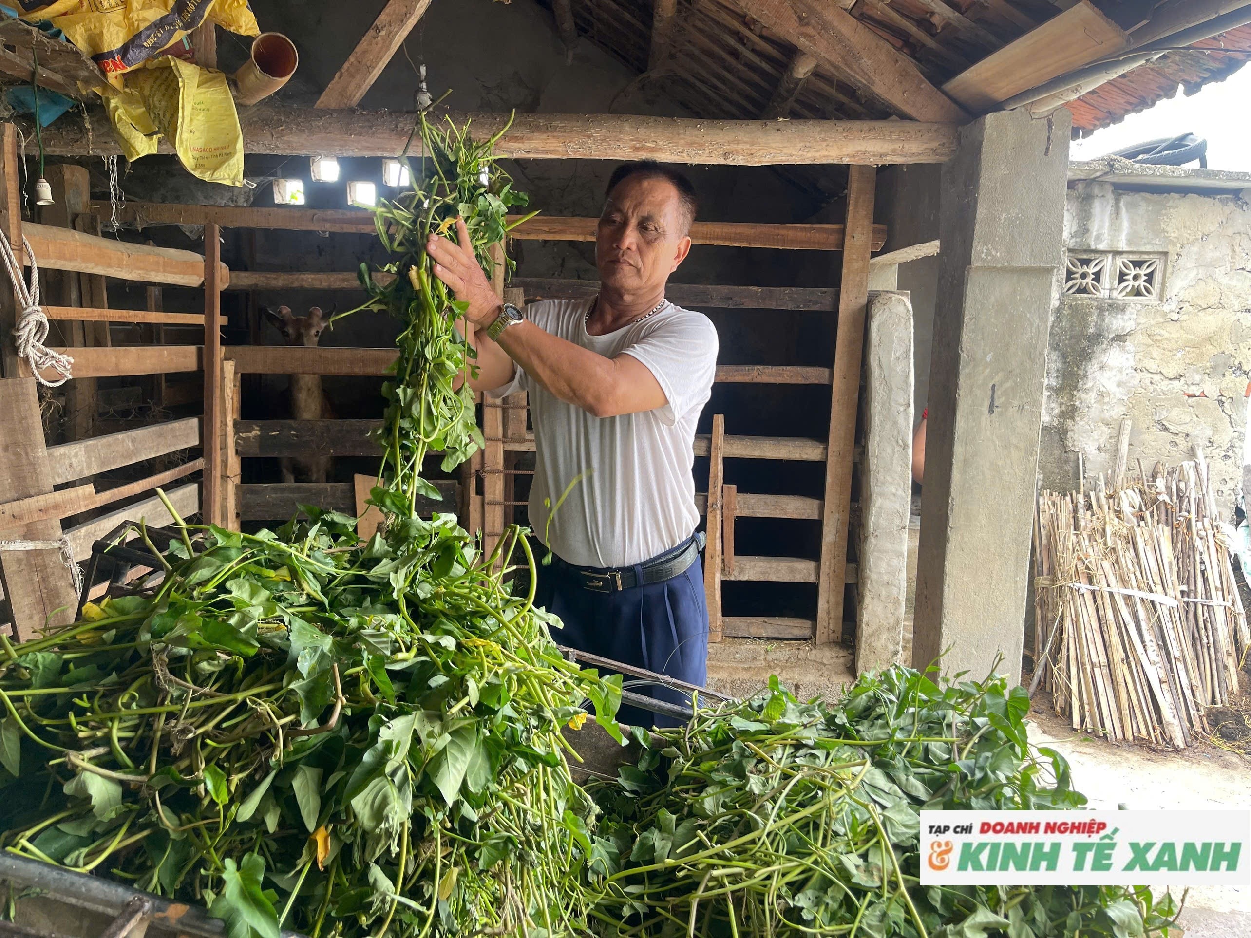 nuoi-huou2-1783675301.jpg