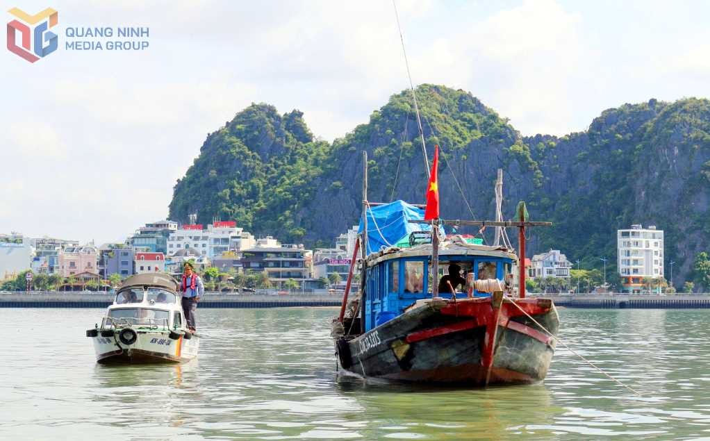 bat158726-an-toan-de-nang-tam-suc-hut-cho-vinh-ha-long-4-1783792362.jpg