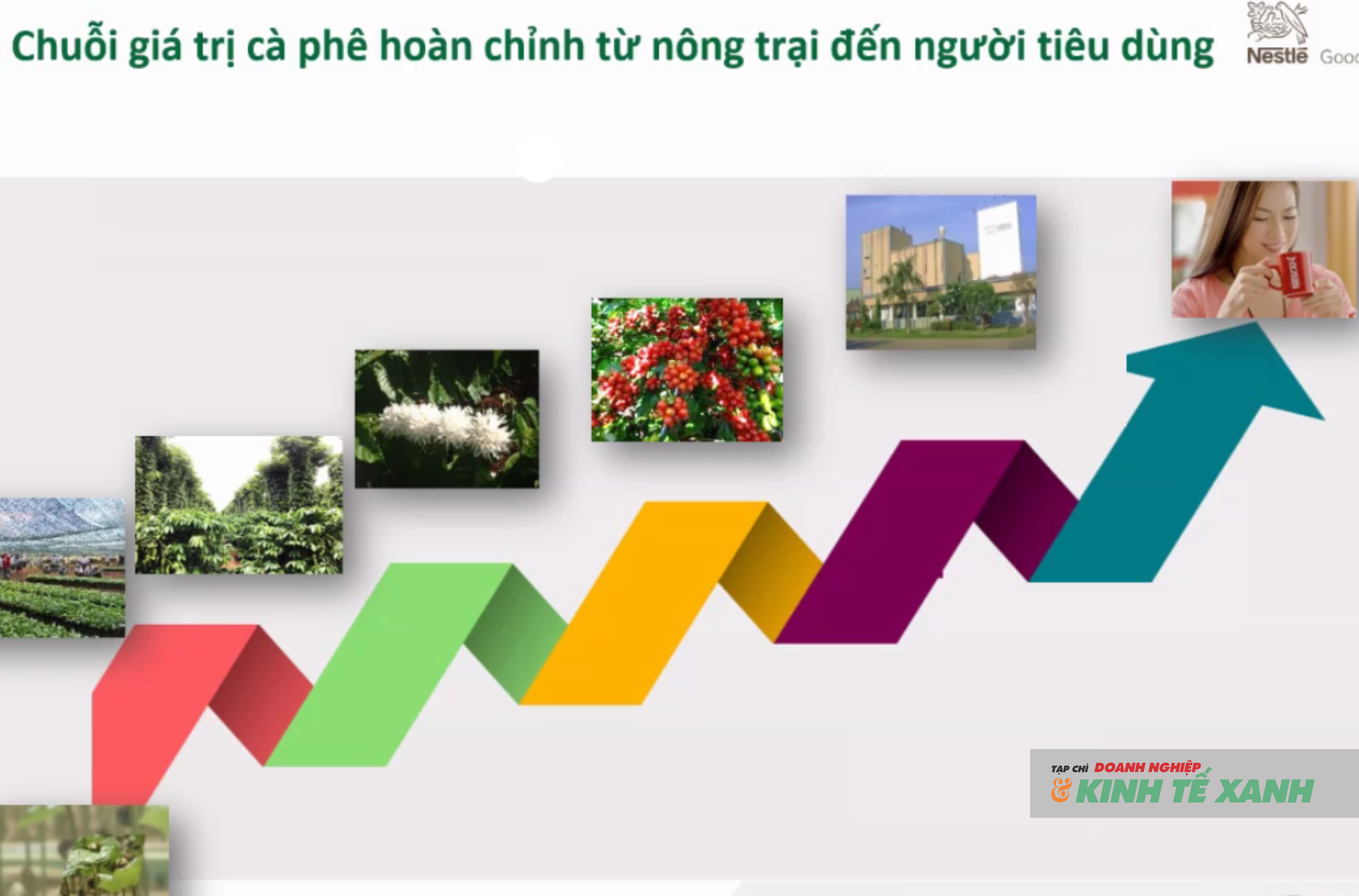 anh-dai-dien-bai-viet-1784022260.png