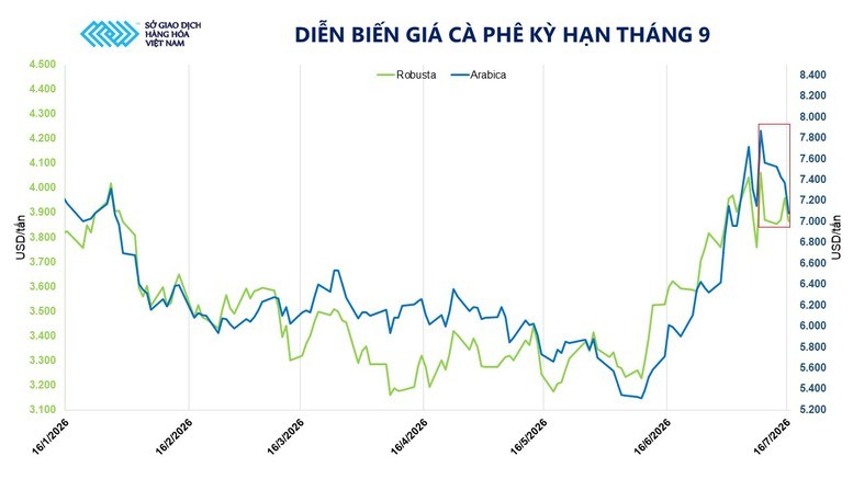 anh-2-dien-bien-gia-ca-phe-ky-han-thang-9-2-1784260702056988060116-1784335991.jpg