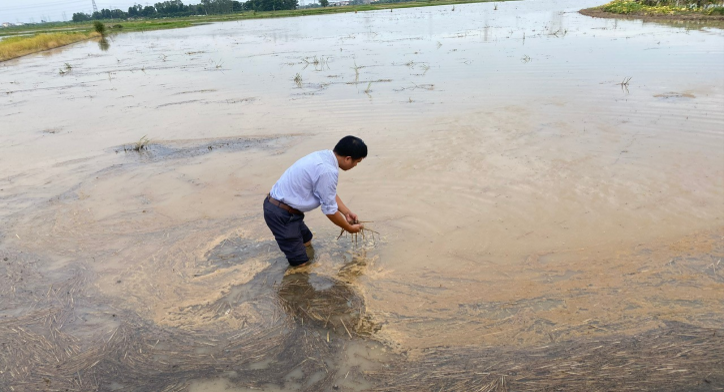 khuyen-nong-bac-ninh-5-1784366326.png