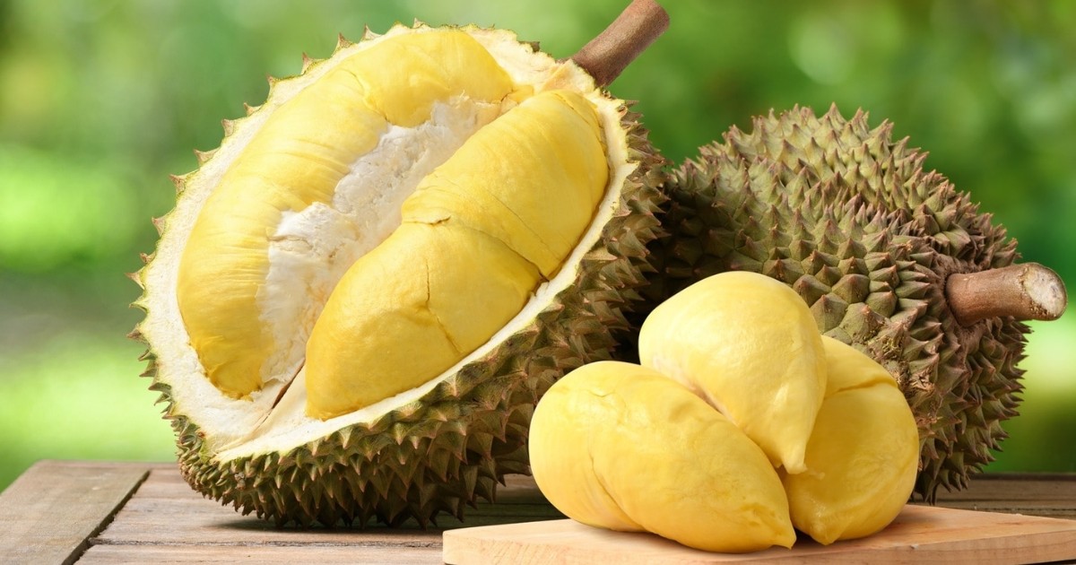 sau-rieng-dona-la-sau-rieng-gi-cach-trong-cham-soc-dat-1-1784768868.jpg