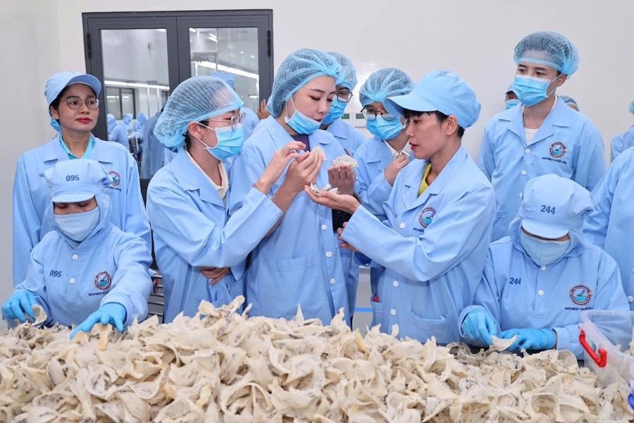Sanest Khánh Hòa: Thương hiệu xanh vào “Top 10 Nhãn hiệu nổi tiếng Việt Nam 2026” - Ảnh 3