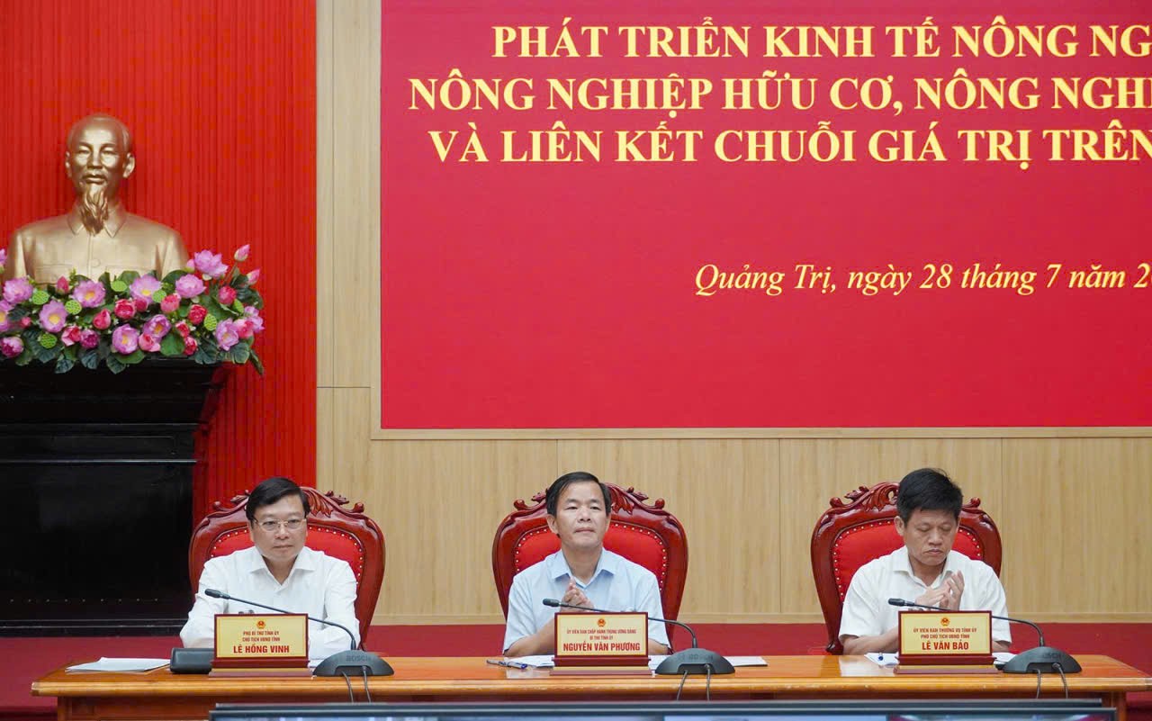 qt2871-1785252772.jpg