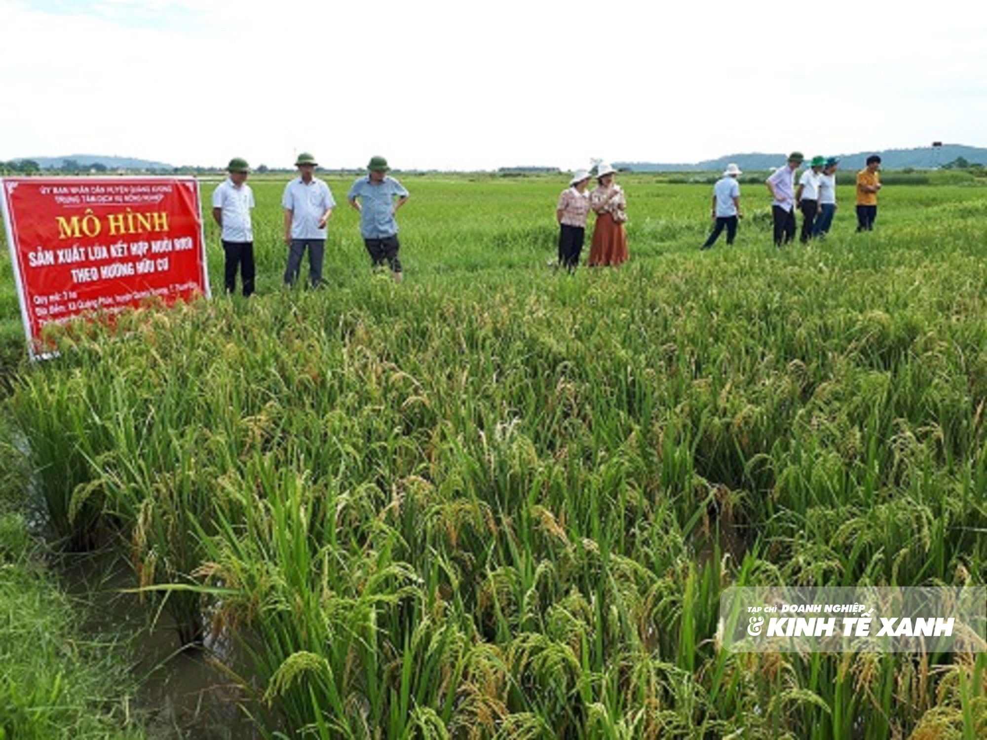 ma-so-vung-trong-6-1785342241.jpg