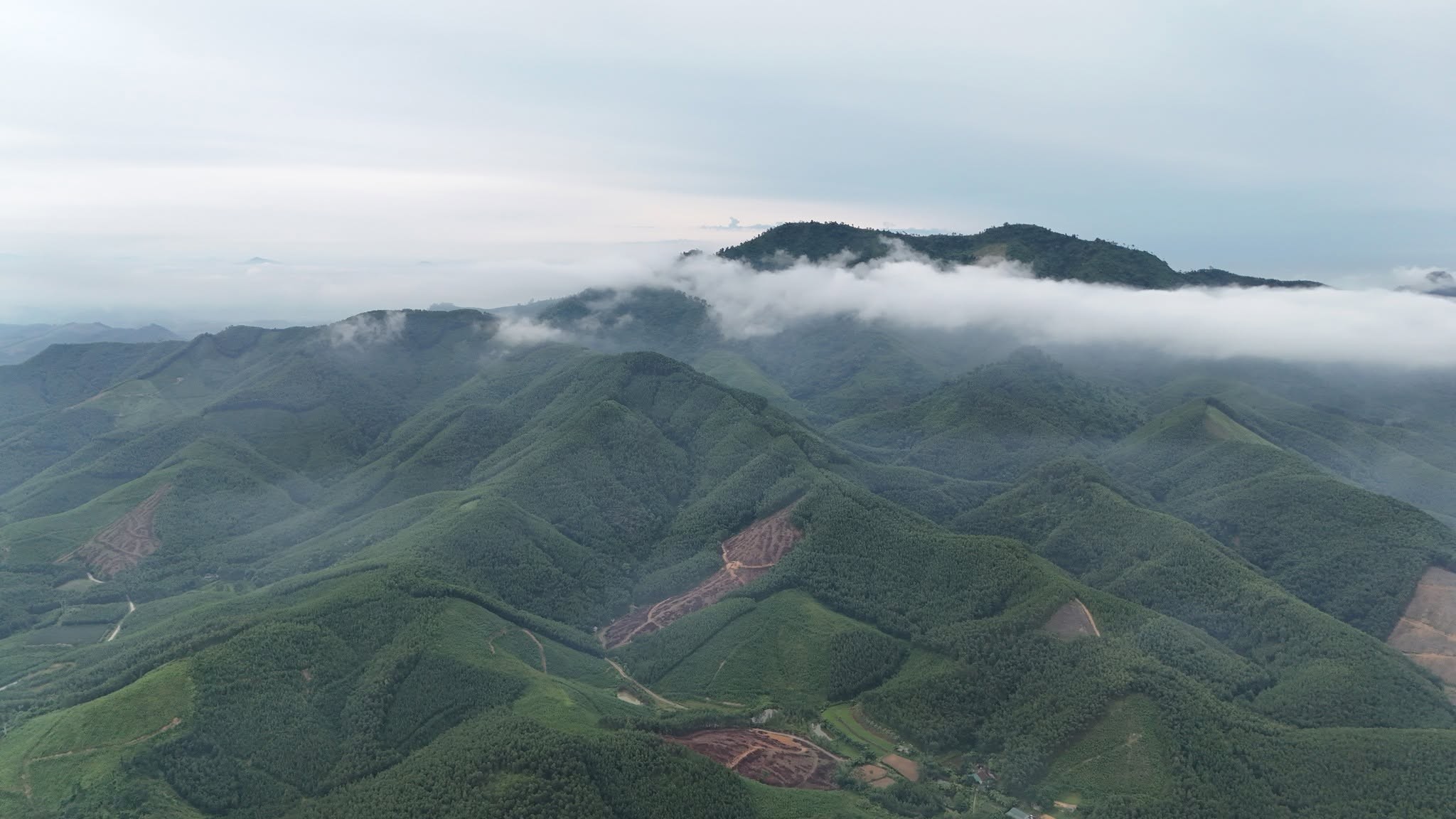 lam-nghiep1-1785399112.jpg