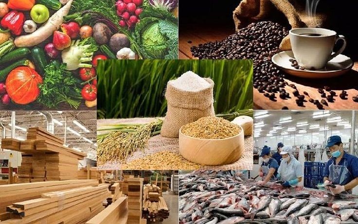 Ngành nông nghiệp đặt mục tiêu tăng trưởng GDP cả năm đạt 4% và đưa kim ngạch xuất khẩu NLTS vượt mốc 74 tỷ USD. (Ảnh minh hoạ)