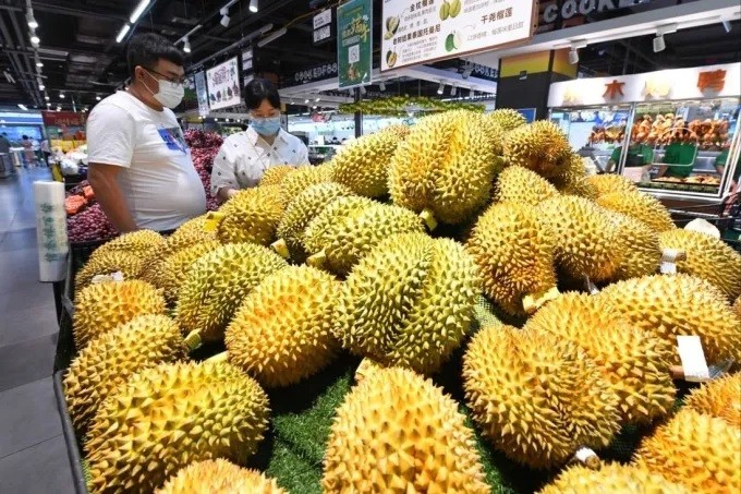 sau-rieng-1735295770-1785719758.jpg