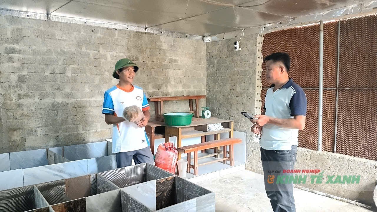 kl5-1785918209.jpg