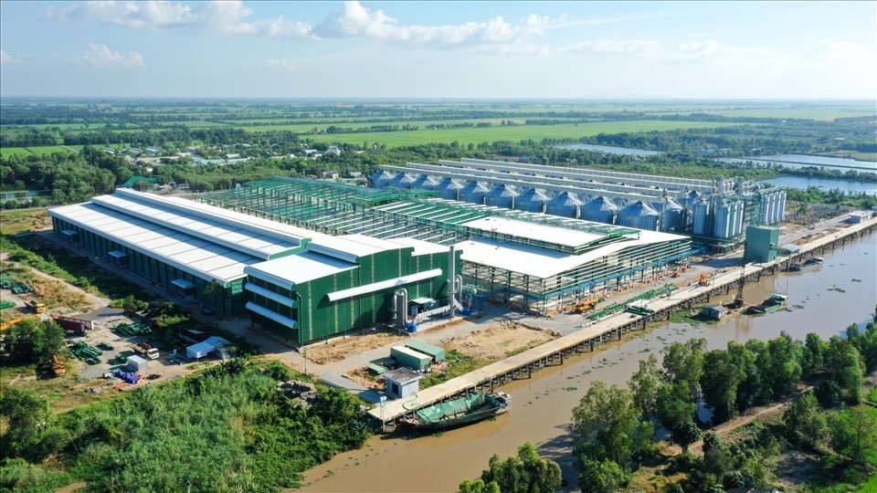 01-1786370058.jpg